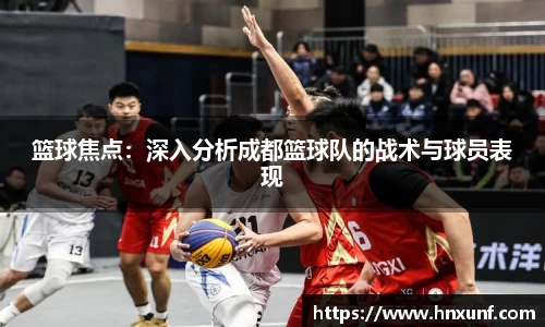 篮球焦点：深入分析成都篮球队的战术与球员表现