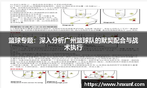 篮球专题：深入分析广州篮球队的默契配合与战术执行