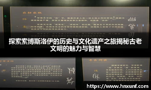 探索索博斯洛伊的历史与文化遗产之旅揭秘古老文明的魅力与智慧