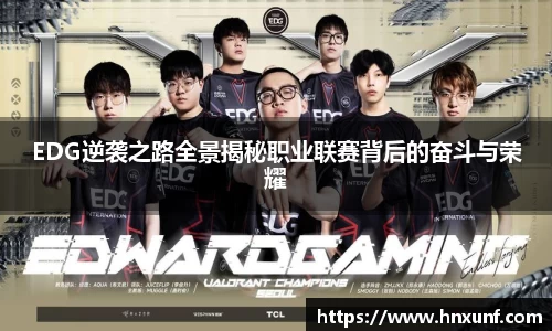 EDG逆袭之路全景揭秘职业联赛背后的奋斗与荣耀